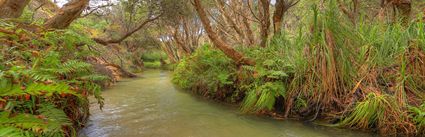 Eli Creek - Fraser Island - QLD (PB5D 00 U3A0981)